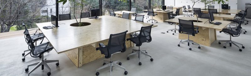 thiết kế workplace hiện đại cho doanh nghiệp